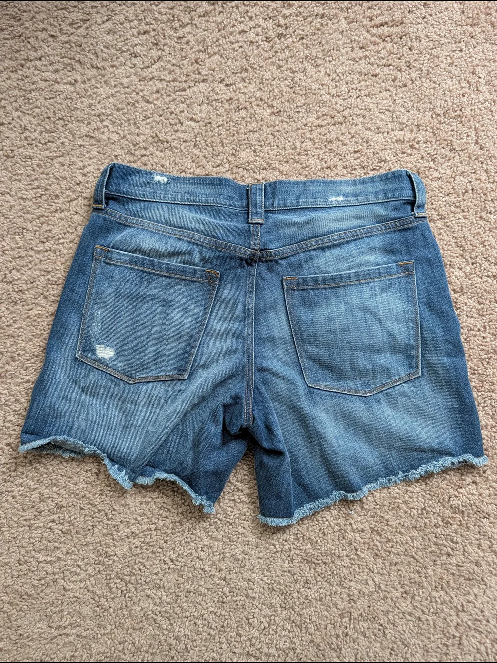 J. Crew crew womens